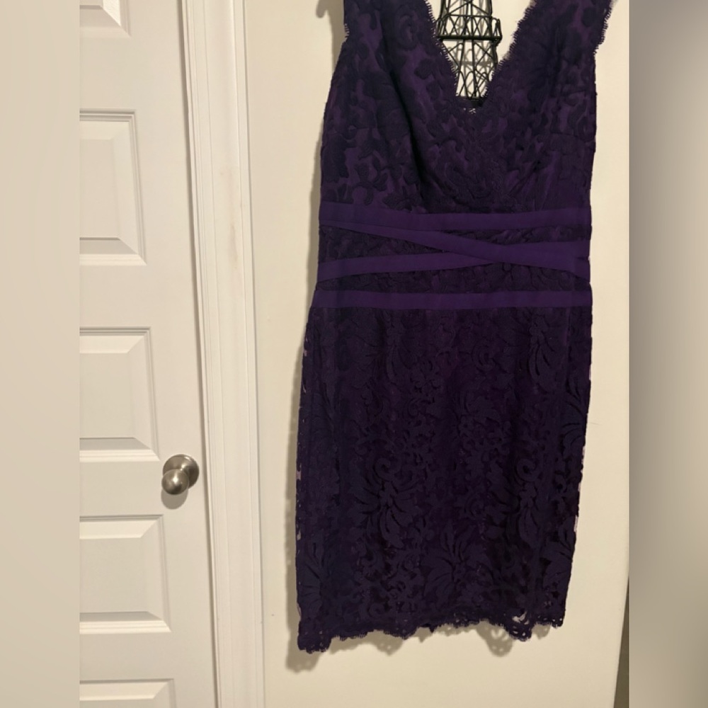 Tadashi Shoji Deep Purple Lace Mini Dress